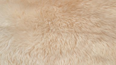 Beyaz yumuşak yün dokusu, pamuk, hafif doğal hayvan yünü, yakın çekim beyaz tüylü doku, bej renkli yün, şeftali renkli kürk