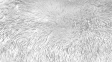 Beyaz yün dokusu, açık doğal hayvan yünü, beyaz dikişsiz pamuk, tasarımcılar için tüylü kürk dokusu, yakın plan beyaz yün halı.