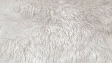 Beyaz yün dokusu, açık doğal hayvan yünü, beyaz dikişsiz pamuk, tasarımcılar için tüylü kürk dokusu, yakın plan beyaz yün halı.