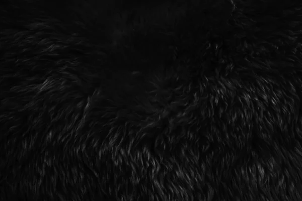Fekete Gyapjú Textúra Háttér Sötét Természetes Juhok Gyapjú Fekete Varrat — Stock Fotó