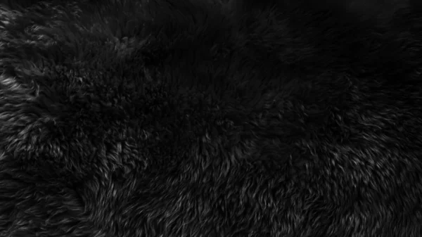 Black wool texture background, dark natural sheep wool, black seamless cotton, texture of gray fluffy fur, close-up fragment of black wool carpet