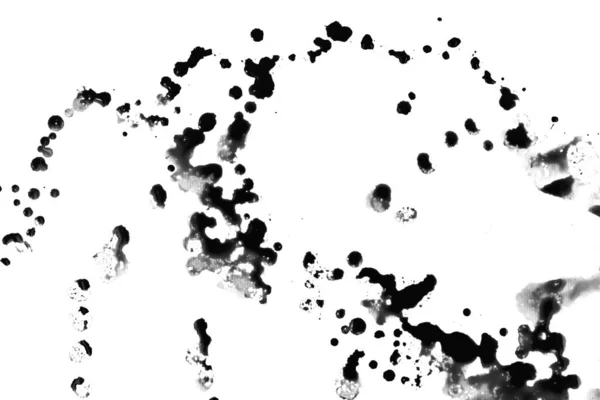白い背景に黒絵具の滴 — ストック写真