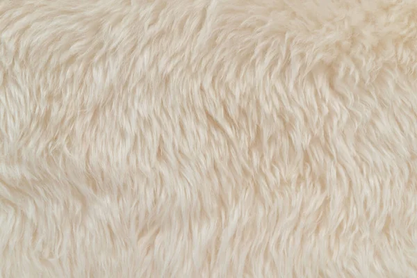 White soft wool texture background, cotton wool, light natural animal wool, close-up texture of white fluffy fur, wool with beige tone, fur with a delicate peach tint