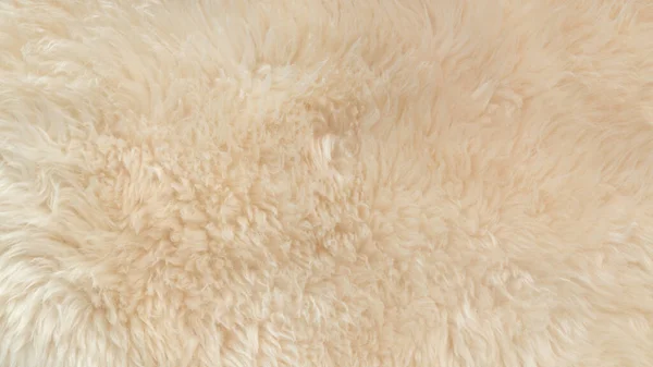 白い柔らかいウールの質感の背景 綿ウール 軽い天然動物のウール 白いふわふわの毛皮のクローズアップテクスチャ ベージュトーンのウール 繊細な桃の色合いの毛皮 — ストック写真
