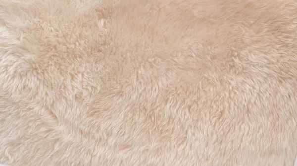 Beyaz Yumuşak Yün Dokusu Pamuk Hafif Doğal Hayvan Yünü Yakın — Stok fotoğraf