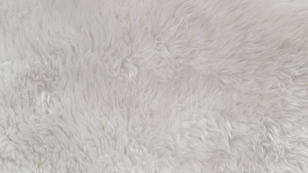 White Wool Texture Background Light Natural Animal Wool White Seamless — Stock Photo, Image