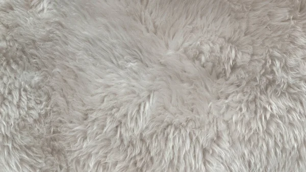 白色羊毛质地背景 浅色天然动物毛 白色无缝棉 设计人员用绒毛质地 特写片断白色羊毛地毯 — 图库照片