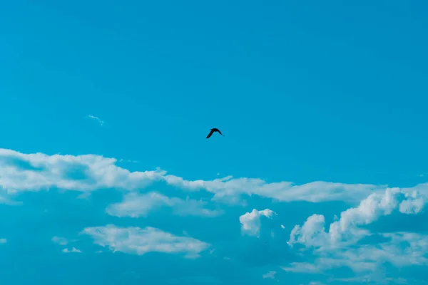 Повітряні Пухнасті Хмари Блакитному Небі Сонячний День Фонова Текстура — стокове фото
