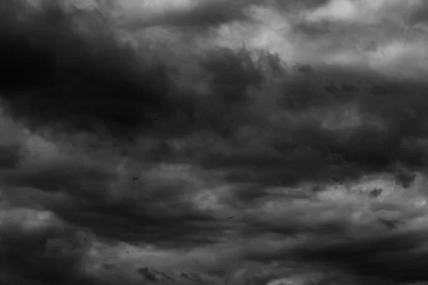 Nuvens Tempestade Preto Branco Antes Chuva Céu Dramático — Fotografia de Stock
