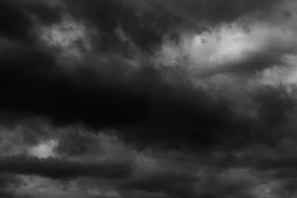 Svartvita Stormmoln Före Regnet Dramatisk Himmel — Stockfoto