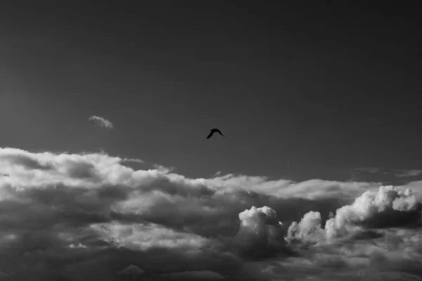 Black White Thunderstorm Dramatic Clouds Background Texture — Stock Photo, Image