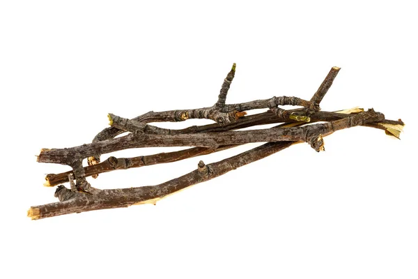 Trockene Zweige Äste Isoliert Auf Weißem Hintergrund Nahaufnahme — Stockfoto