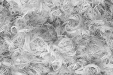 Beyaz kaz tüyleri ve yastık dokusundan tüyler.