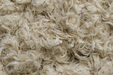 Beyaz kaz tüyleri ve yastık dokusundan tüyler.