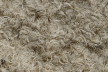 Beyaz kaz tüyleri ve yastık dokusundan tüyler.