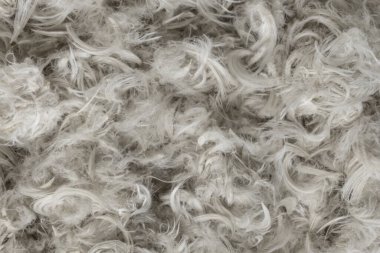 Beyaz kaz tüyleri ve yastık dokusundan tüyler.