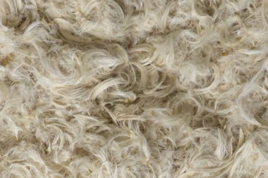 Beyaz kaz tüyleri ve yastık dokusundan tüyler.