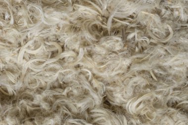 Beyaz kaz tüyleri ve yastık dokusundan tüyler.