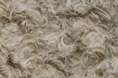 Beyaz kaz tüyleri ve yastık dokusundan tüyler.