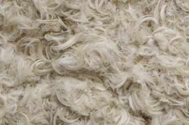 Beyaz kaz tüyleri ve yastık dokusundan tüyler.