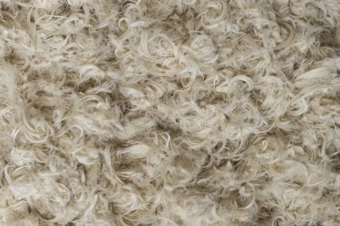 Beyaz kaz tüyleri ve yastık dokusundan tüyler.