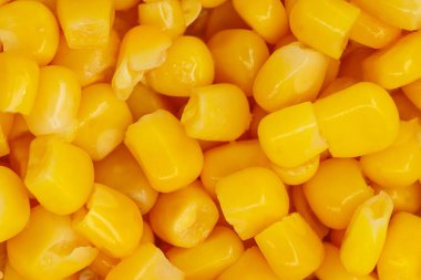 Sarı mısır tohumları arka planda pürüzsüz doku kapat
