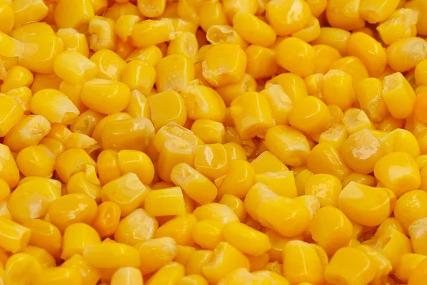 黄玉米种子背景无缝纹理闭合 — 图库照片