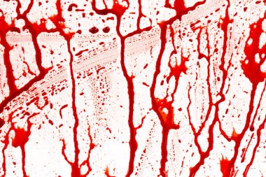 Beyaz arka planda kanlı sıçramalar ve damlalar. Damlayan ve takip eden kırmızı kan (boya)