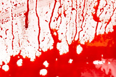 Beyaz arka planda kanlı sıçramalar ve damlalar. Damlayan ve takip eden kırmızı kan (boya)