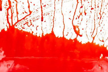 Beyaz arka planda kanlı sıçramalar ve damlalar. Damlayan ve takip eden kırmızı kan (boya)