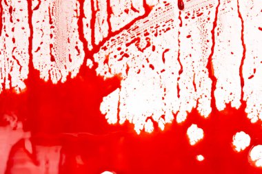 Beyaz arka planda kanlı sıçramalar ve damlalar. Damlayan ve takip eden kırmızı kan (boya)