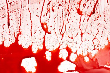 Beyaz arka planda kanlı sıçramalar ve damlalar. Damlayan ve takip eden kırmızı kan (boya)