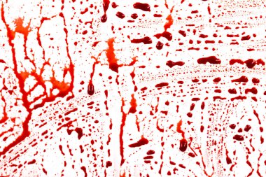 Beyaz arka planda kanlı sıçramalar ve damlalar. Damlayan ve takip eden kırmızı kan (boya)