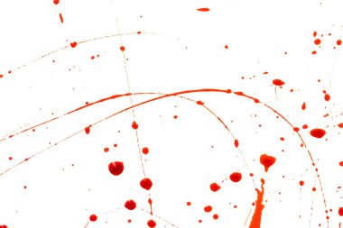 Beyaz arka planda kanlı sıçramalar ve damlalar. Damlayan ve takip eden kırmızı kan (boya)