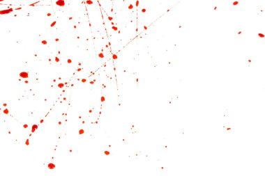 Beyaz arka planda kanlı sıçramalar ve damlalar. Damlayan ve takip eden kırmızı kan (boya)