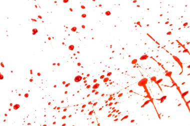 Beyaz arka planda kanlı sıçramalar ve damlalar. Damlayan ve takip eden kırmızı kan (boya)