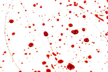 Beyaz arka planda kanlı sıçramalar ve damlalar. Damlayan ve takip eden kırmızı kan (boya)