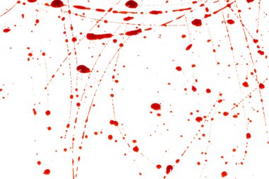 Beyaz arka planda kanlı sıçramalar ve damlalar. Damlayan ve takip eden kırmızı kan (boya)