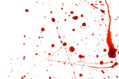 Beyaz arka planda kanlı sıçramalar ve damlalar. Damlayan ve takip eden kırmızı kan (boya)