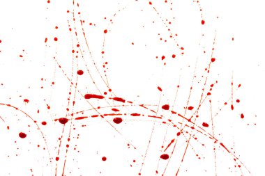 Beyaz arka planda kanlı sıçramalar ve damlalar. Damlayan ve takip eden kırmızı kan (boya)