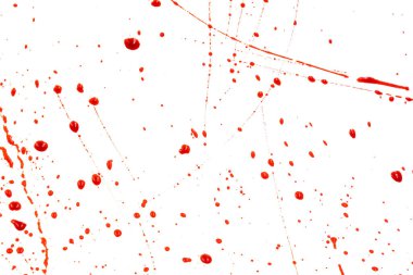 Beyaz arka planda kanlı sıçramalar ve damlalar. Damlayan ve takip eden kırmızı kan (boya)