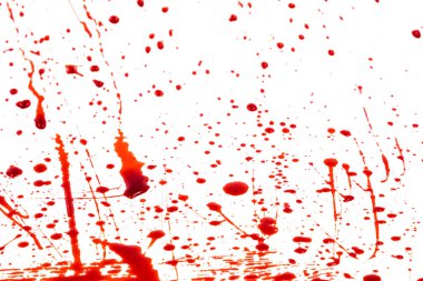 Beyaz arka planda kanlı sıçramalar ve damlalar. Damlayan ve takip eden kırmızı kan (boya)