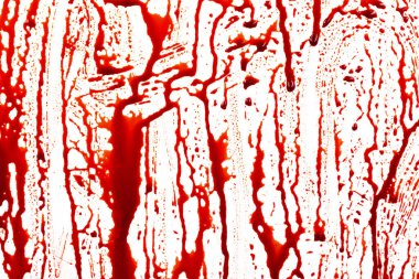 Beyaz arka planda izole edilmiş kan damlıyor. Akan kırmızı kan damlalar, damlalar ve izler