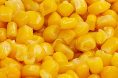 Sarı doğal mısır tohumları arka plan dokusu