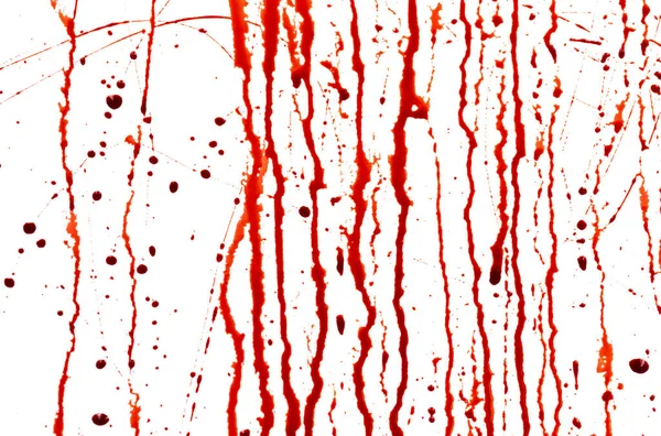 Στάζει Αίμα Απομονωμένο Λευκό Φόντο Ρεύση Κόκκινου Αίματος Πιτσιλιές Σταγόνες — Φωτογραφία Αρχείου