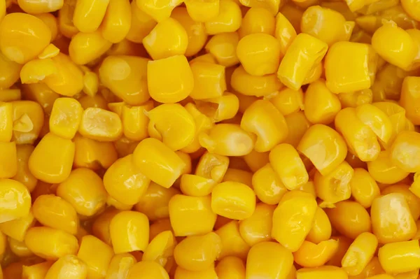 Κίτρινο Φυσικό Καλαμπόκι Σπόρους Υφή Υποβάθρου — Φωτογραφία Αρχείου