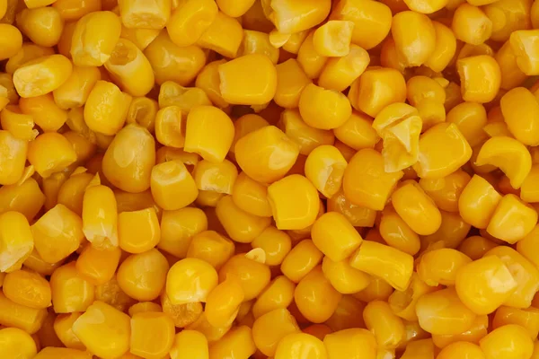 黄トウモロコシの種子の背景テクスチャ — ストック写真
