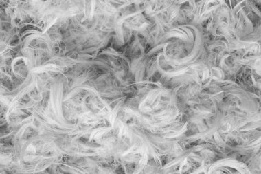 Beyaz kaz tüyleri ve yastık dokusundan tüyler.