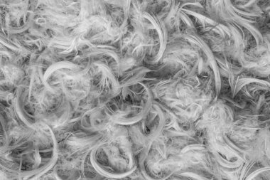 Beyaz kaz tüyleri ve yastık dokusundan tüyler.