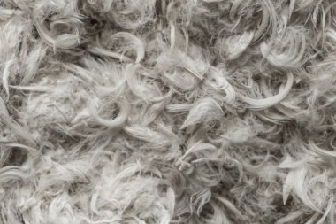 Beyaz kaz tüyleri ve yastık dokusundan tüyler.